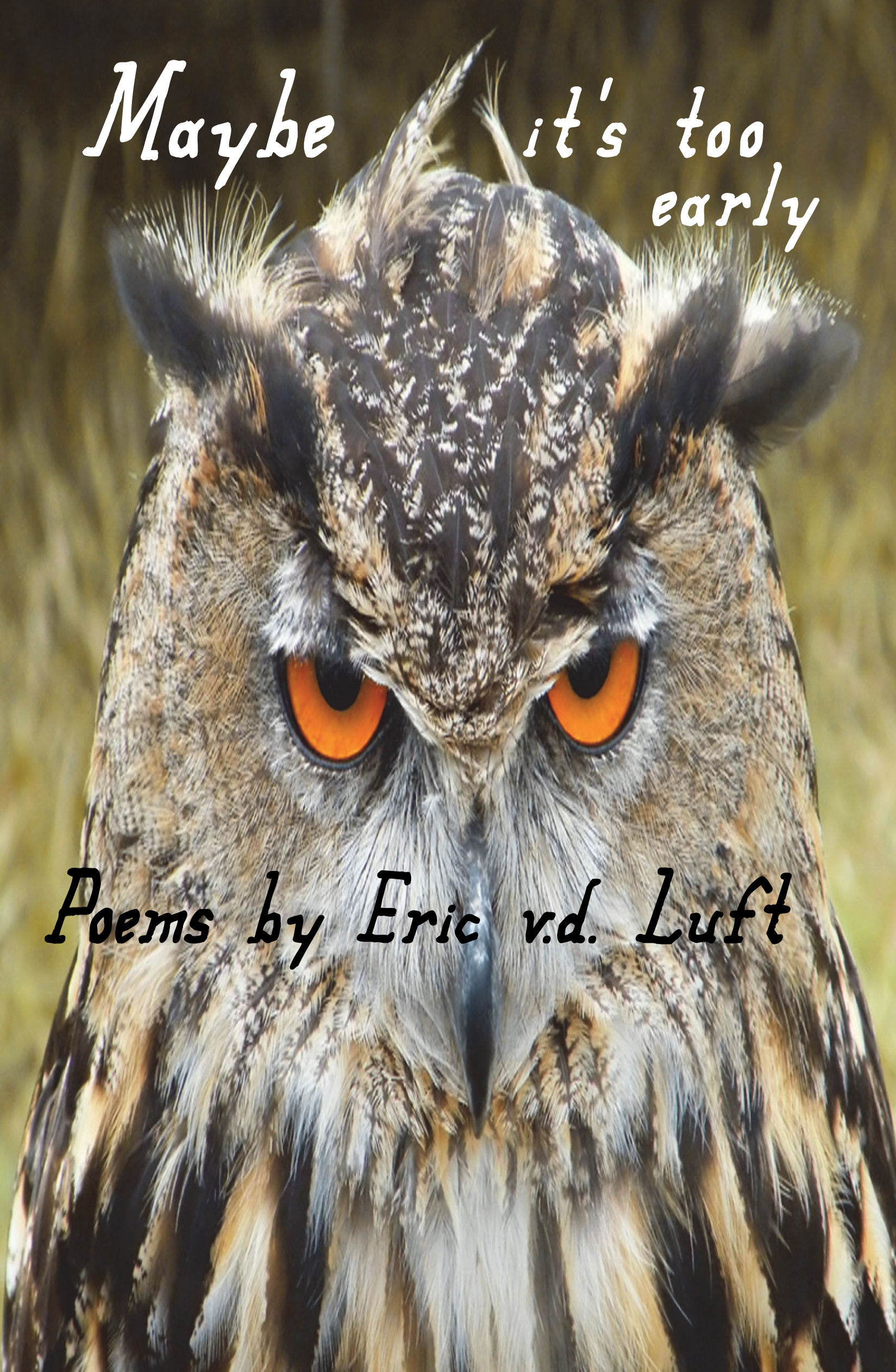 Maybe It's Too Early: Poems by Eric v.d. Luft