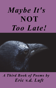 Maybe It's Not Too Late: A Third Book of Poems by Eric v.d. Luft